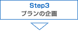 STEP3 v̊