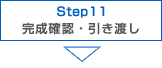 STEP11 mFEn